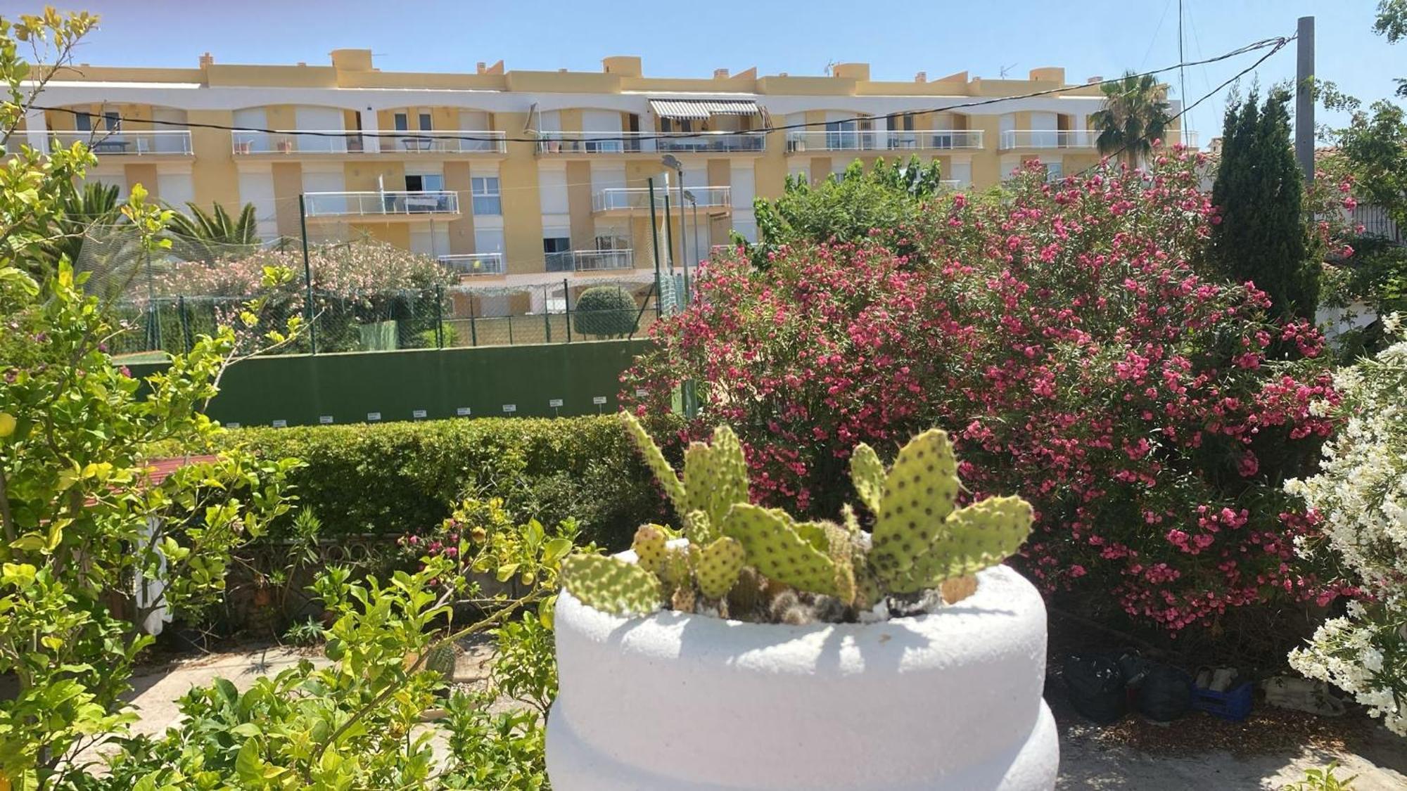 Playa Primera Linea Holiday home *